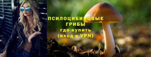 соль курить ск Алексеевка