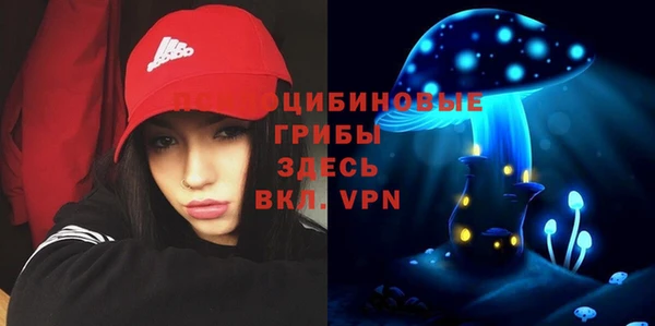 прущая мука Алексин