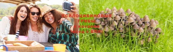 соль курить ск Алексеевка